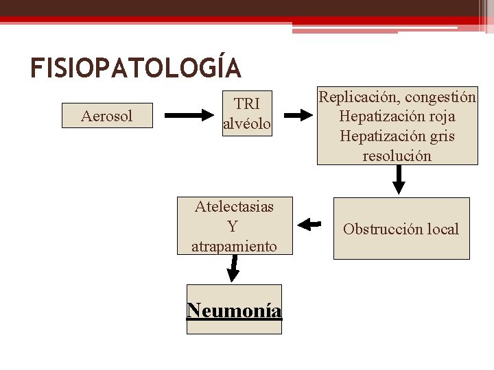 FISIOPATOLOGÍA Aerosol TRI alvéolo Atelectasias Y atrapamiento Neumonía Replicación, congestión Hepatización roja Hepatización gris