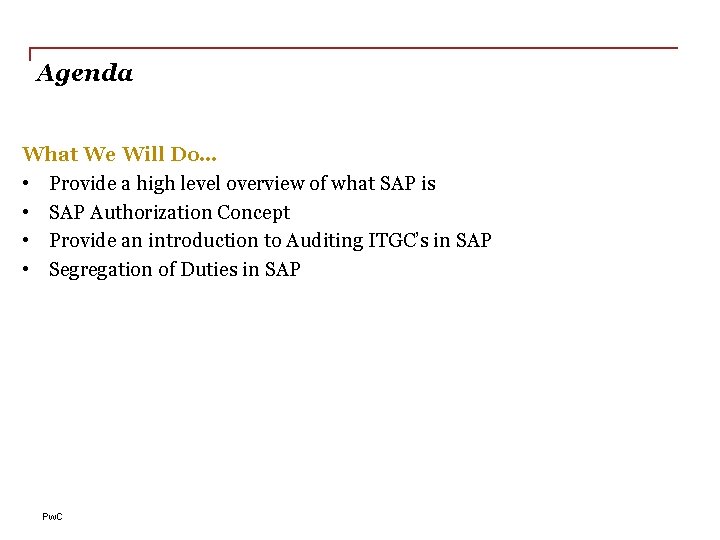Agenda What We Will Do… • Provide a high level overview of what SAP