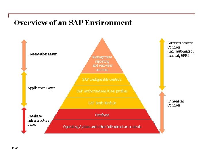 Overview of an SAP Environment Presentation Layer Management reporting and end-user controls Business process