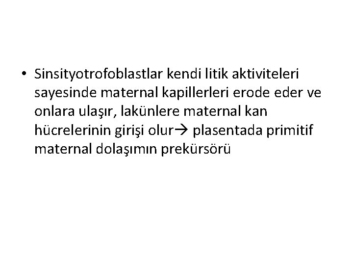  • Sinsityotrofoblastlar kendi litik aktiviteleri sayesinde maternal kapillerleri erode eder ve onlara ulaşır,