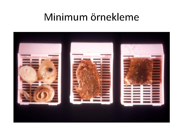 Minimum örnekleme 