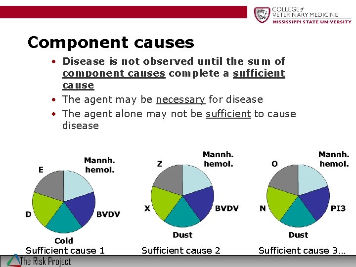 Component causes • Disease is not observed until the sum of component causes complete