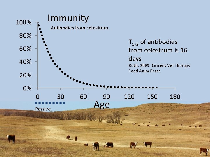 Immunity 100% Antibodies from colostrum 80% T 1/2 of antibodies from colostrum is 16