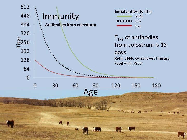 Initial antibody titer Immunity Antibodies from colostrum 2048 512 128 T 1/2 of antibodies