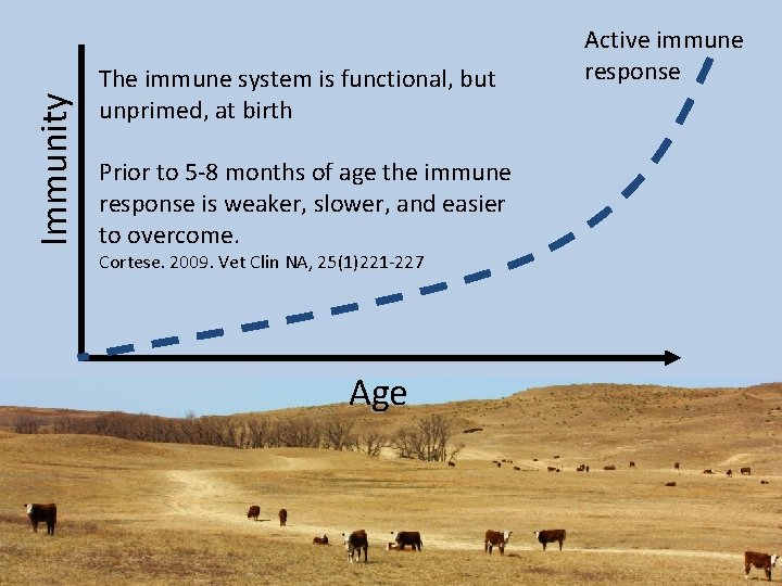 Immunity The immune system is functional, but unprimed, at birth Prior to 5 -8