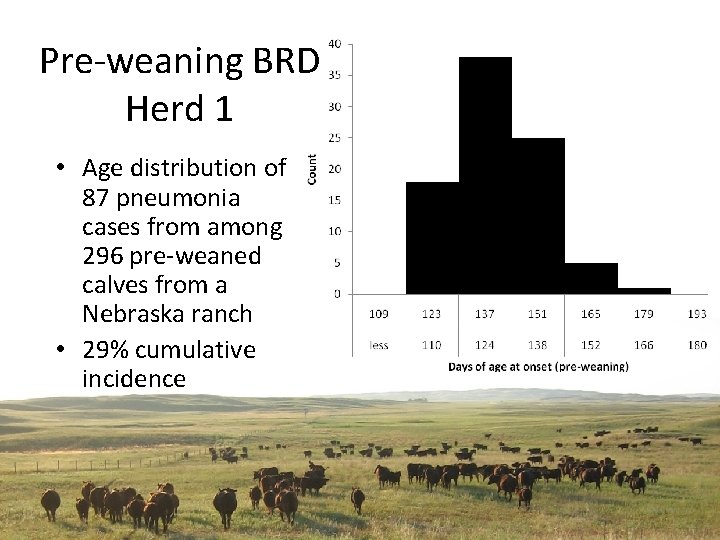 Pre-weaning BRD Herd 1 • Age distribution of 87 pneumonia cases from among 296