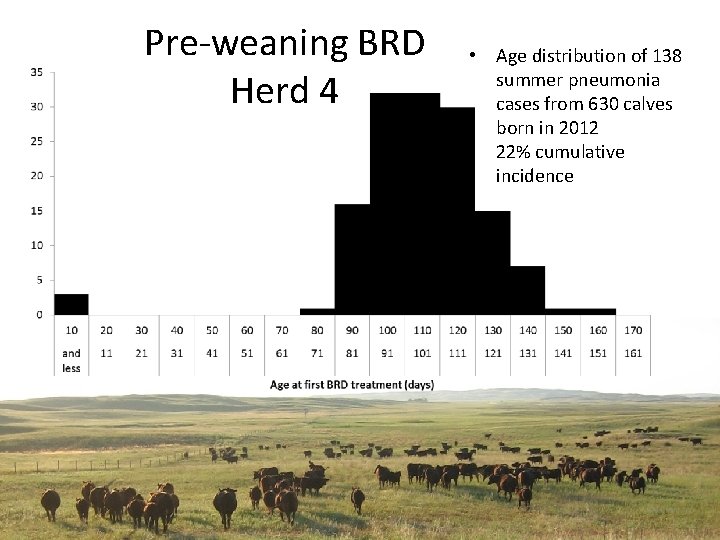 Pre-weaning BRD Herd 4 • Age distribution of 138 summer pneumonia cases from 630