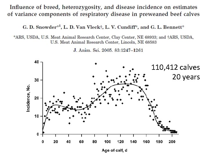 110, 412 calves 20 years 
