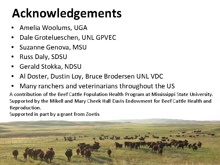 Acknowledgements • • Amelia Woolums, UGA Dale Grotelueschen, UNL GPVEC Suzanne Genova, MSU Russ