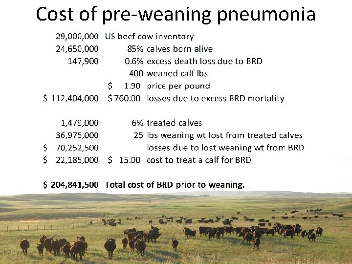 Cost of pre-weaning pneumonia 