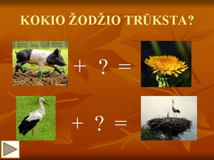 KOKIO ŽODŽIO TRŪKSTA? + ? = 