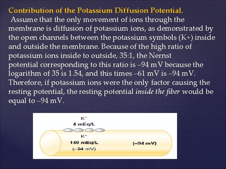 Contribution of the Potassium Diffusion Potential. Assume that the only movement of ions through