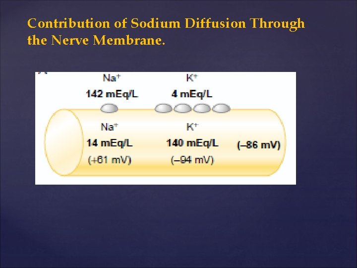 Contribution of Sodium Diffusion Through the Nerve Membrane. 