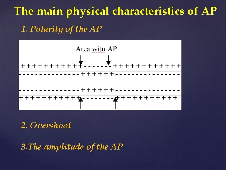 The main physical characteristics of AP 1. Polarity of the AP 2. Оvershoot 3.