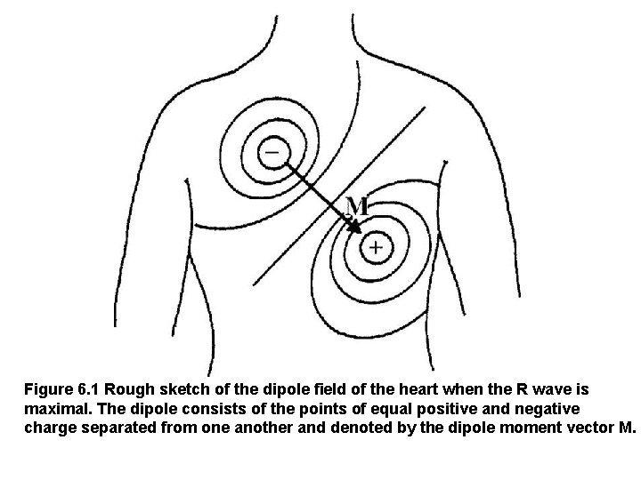 Figure 6. 1 Rough sketch of the dipole field of the heart when the