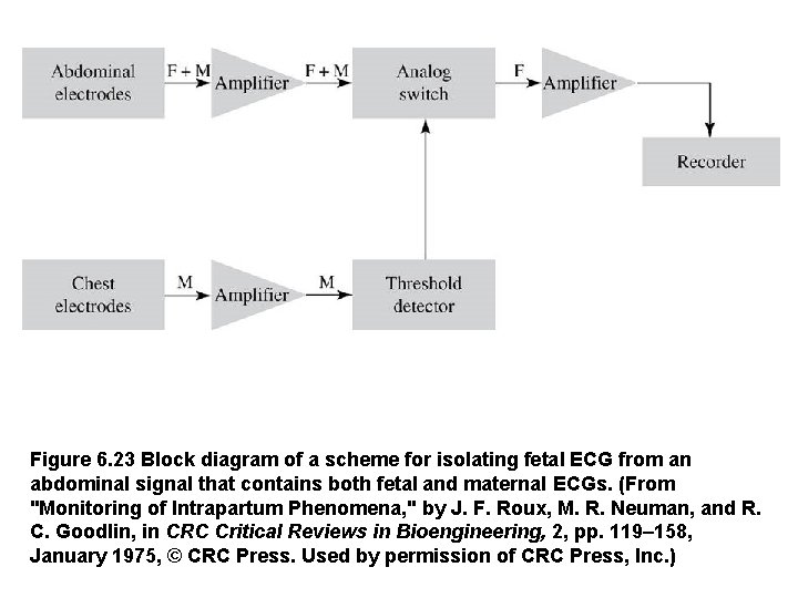 Figure 6. 23 Block diagram of a scheme for isolating fetal ECG from an