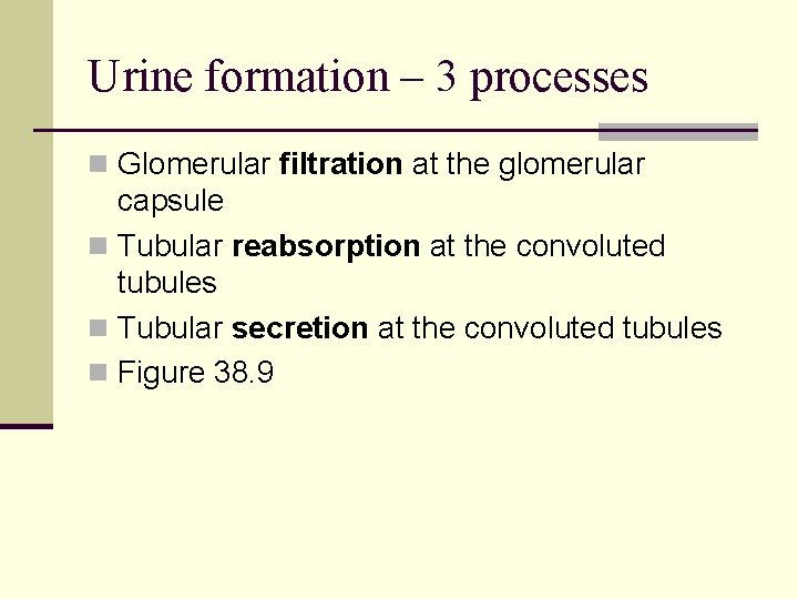 Urine formation – 3 processes n Glomerular filtration at the glomerular capsule n Tubular