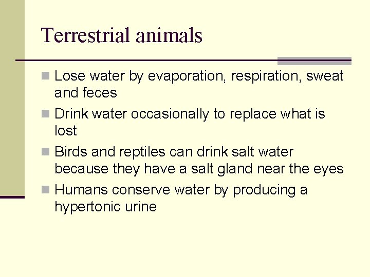 Terrestrial animals n Lose water by evaporation, respiration, sweat and feces n Drink water