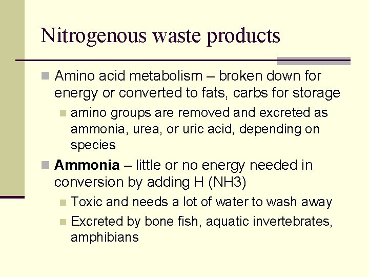 Nitrogenous waste products n Amino acid metabolism – broken down for energy or converted