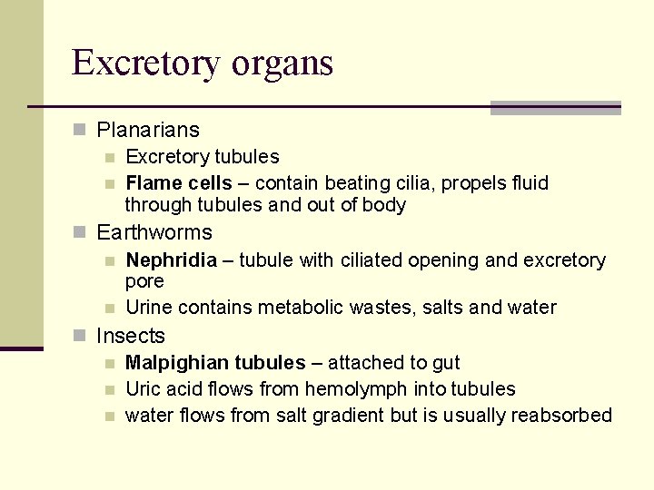 Excretory organs n Planarians n Excretory tubules n Flame cells – contain beating cilia,