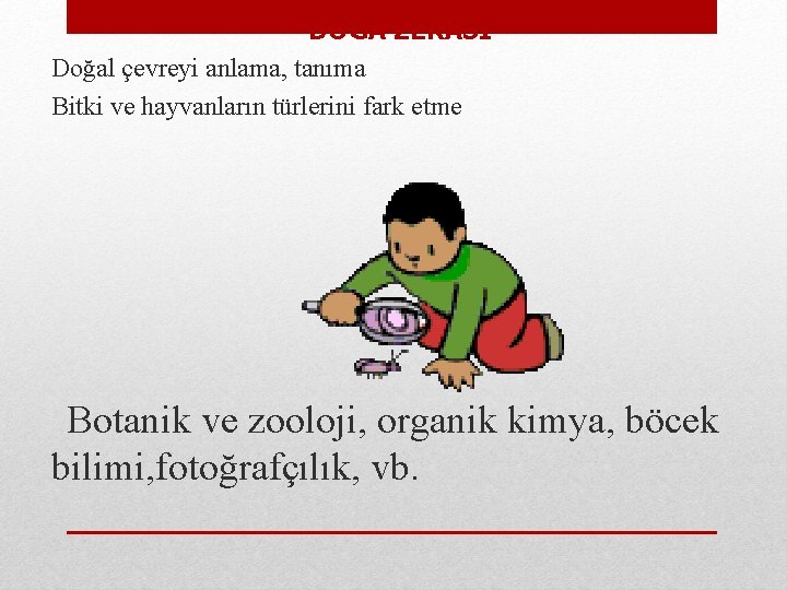  DOĞA ZEKASI Doğal çevreyi anlama, tanıma Bitki ve hayvanların türlerini fark etme Botanik