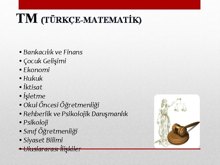 TM (TÜRKÇE-MATEMATİK) • Bankacılık ve Finans • Çocuk Gelişimi • Ekonomi • Hukuk •