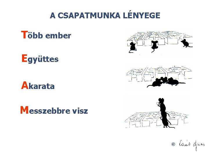 A CSAPATMUNKA LÉNYEGE Több ember Együttes Akarata Messzebbre visz © 