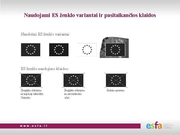 Naudojami ES ženklo variantai ir pasitaikančios klaidos Naudotini ES ženklo variantai: ES ženklo naudojimo