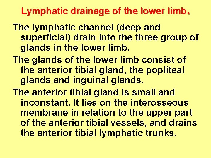 Lymphatic drainage of the lower limb. The lymphatic channel (deep and superficial) drain into