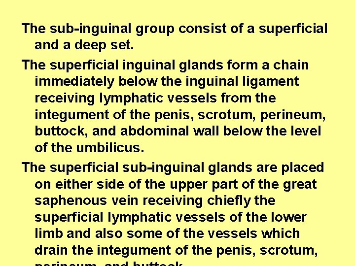 The sub-inguinal group consist of a superficial and a deep set. The superficial inguinal