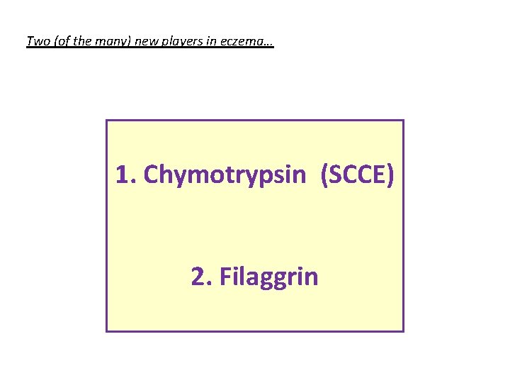 Two (of the many) new players in eczema… 1. Chymotrypsin (SCCE) 2. Filaggrin 