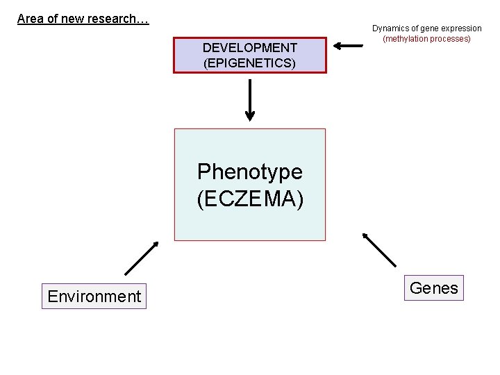 Area of new research… DEVELOPMENT (EPIGENETICS) Dynamics of gene expression (methylation processes) Phenotype (ECZEMA)