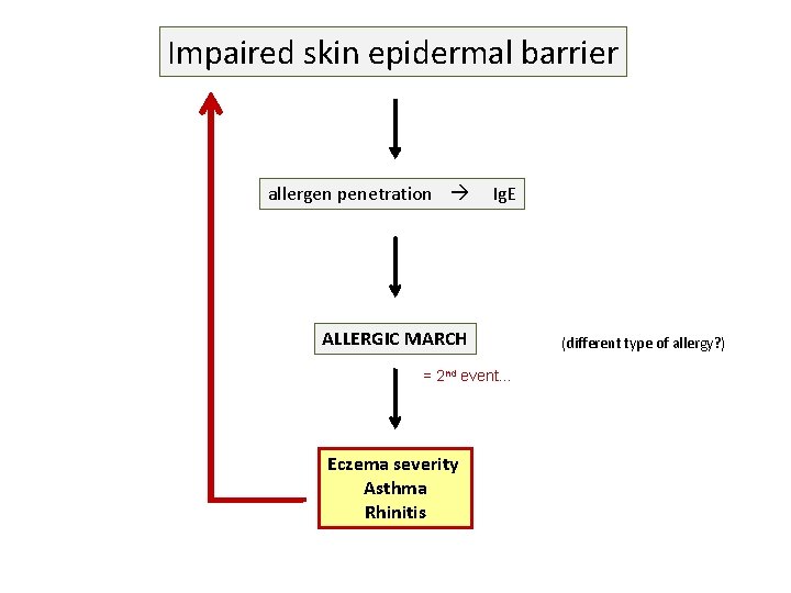 Impaired skin epidermal barrier allergen penetration Ig. E ALLERGIC MARCH = 2 nd event…