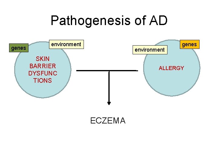 Pathogenesis of AD genes environment SKIN BARRIER DYSFUNC TIONS genes ALLERGY ECZEMA 