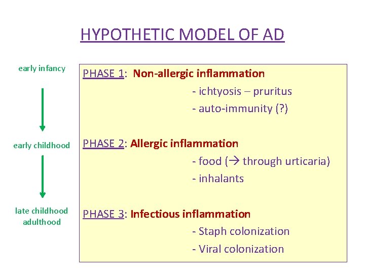HYPOTHETIC MODEL OF AD early infancy PHASE 1: Non-allergic inflammation - ichtyosis – pruritus