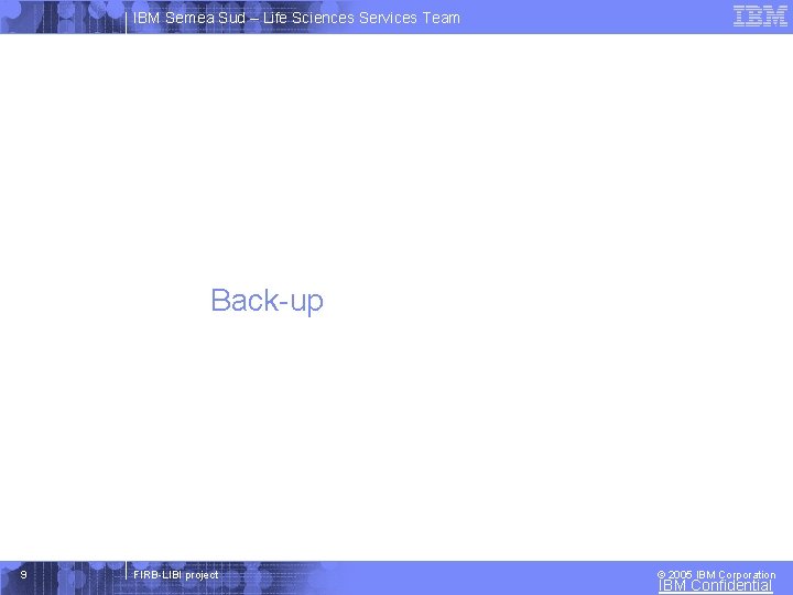 IBM Semea Sud – Life Sciences Services Team Back-up 9 FIRB-LIBI project © 2005