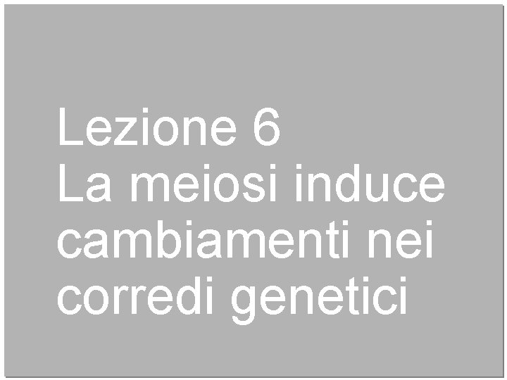 Lezione 6 La meiosi induce cambiamenti nei corredi genetici 