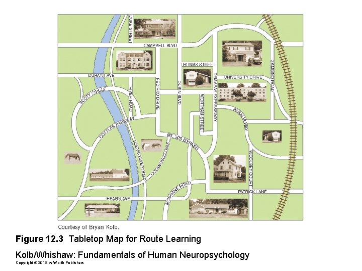 Figure 12. 3 Tabletop Map for Route Learning Kolb/Whishaw: Fundamentals of Human Neuropsychology Copyright