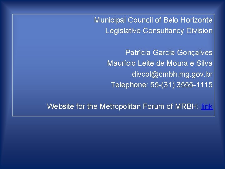 Municipal Council of Belo Horizonte Legislative Consultancy Division Patrícia Garcia Gonçalves Maurício Leite de