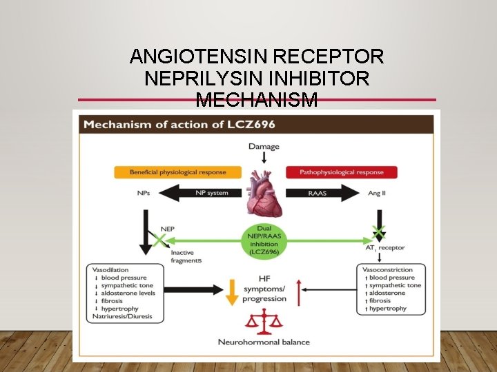ANGIOTENSIN RECEPTOR NEPRILYSIN INHIBITOR MECHANISM 