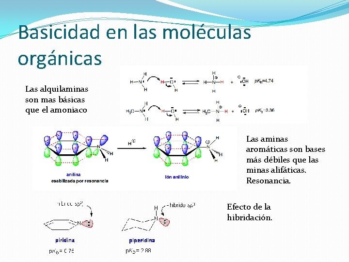 Basicidad en las moléculas orgánicas Las alquilaminas son mas básicas que el amoniaco Las