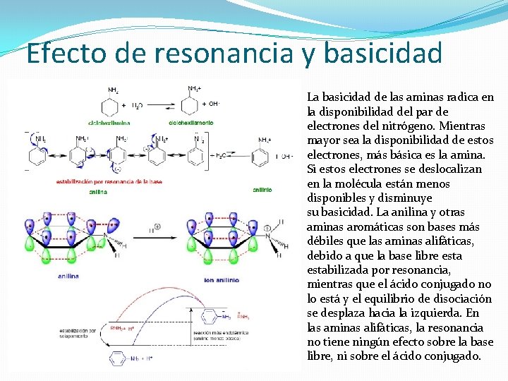 Efecto de resonancia y basicidad La basicidad de las aminas radica en la disponibilidad