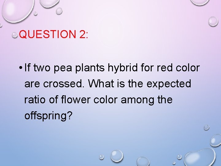 QUESTION 2: • If two pea plants hybrid for red color are crossed. What