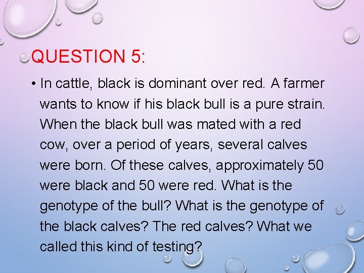 QUESTION 5: • In cattle, black is dominant over red. A farmer wants to
