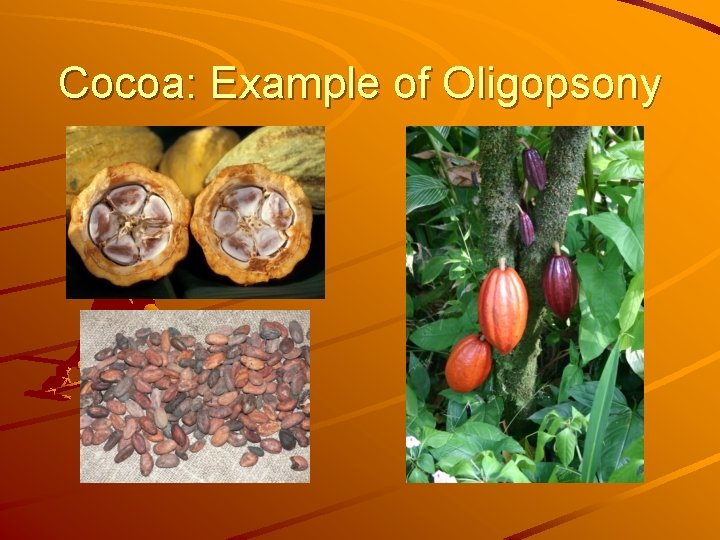 Cocoa: Example of Oligopsony 