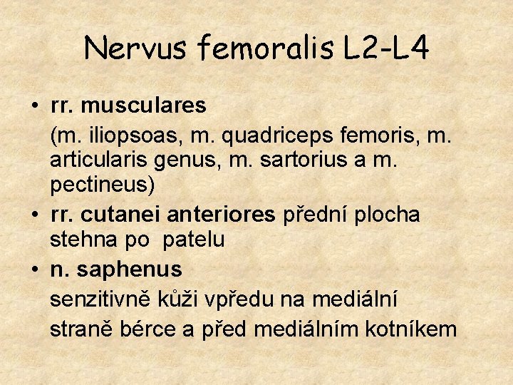 Nervus femoralis L 2 -L 4 • rr. musculares (m. iliopsoas, m. quadriceps femoris,