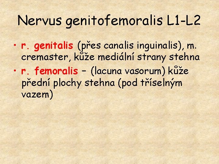 Nervus genitofemoralis L 1 -L 2 • r. genitalis (přes canalis inguinalis), m. cremaster,