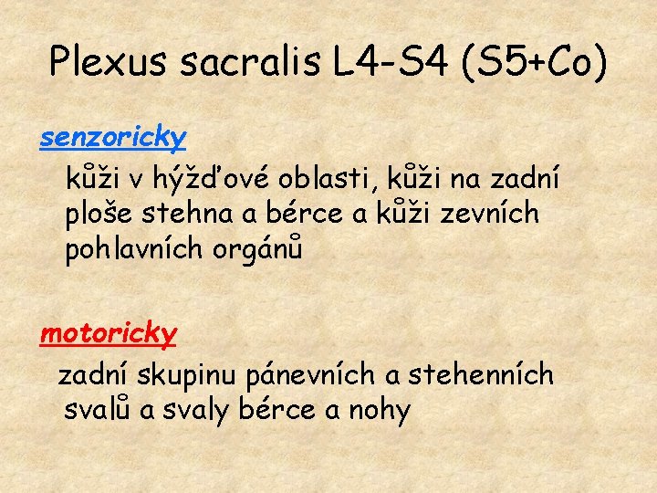 Plexus sacralis L 4 -S 4 (S 5+Co) senzoricky kůži v hýžďové oblasti, kůži