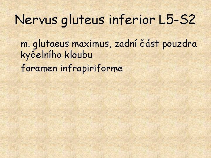 Nervus gluteus inferior L 5 -S 2 m. glutaeus maximus, zadní část pouzdra kyčelního