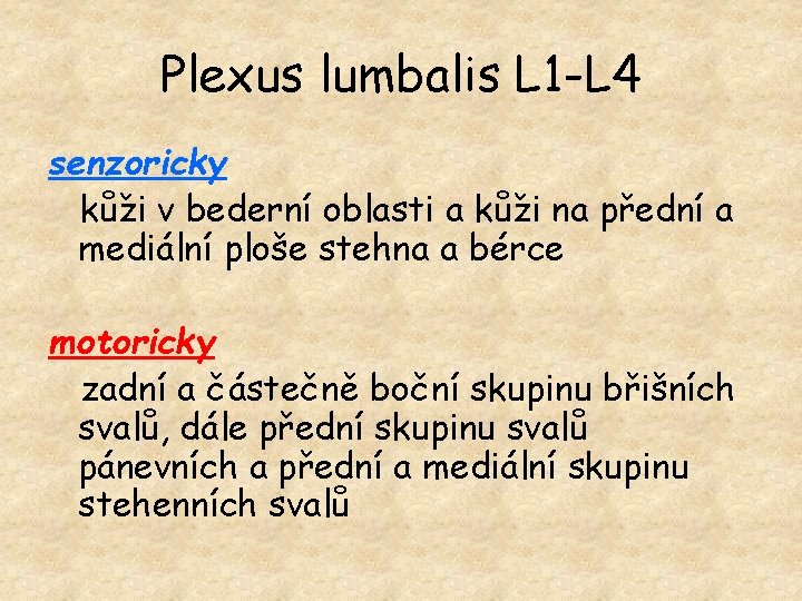Plexus lumbalis L 1 -L 4 senzoricky kůži v bederní oblasti a kůži na